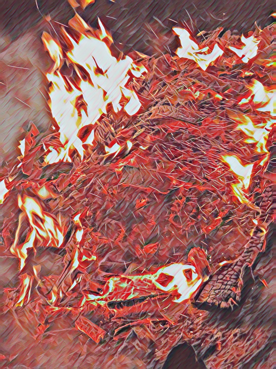 Fire(Graphics)